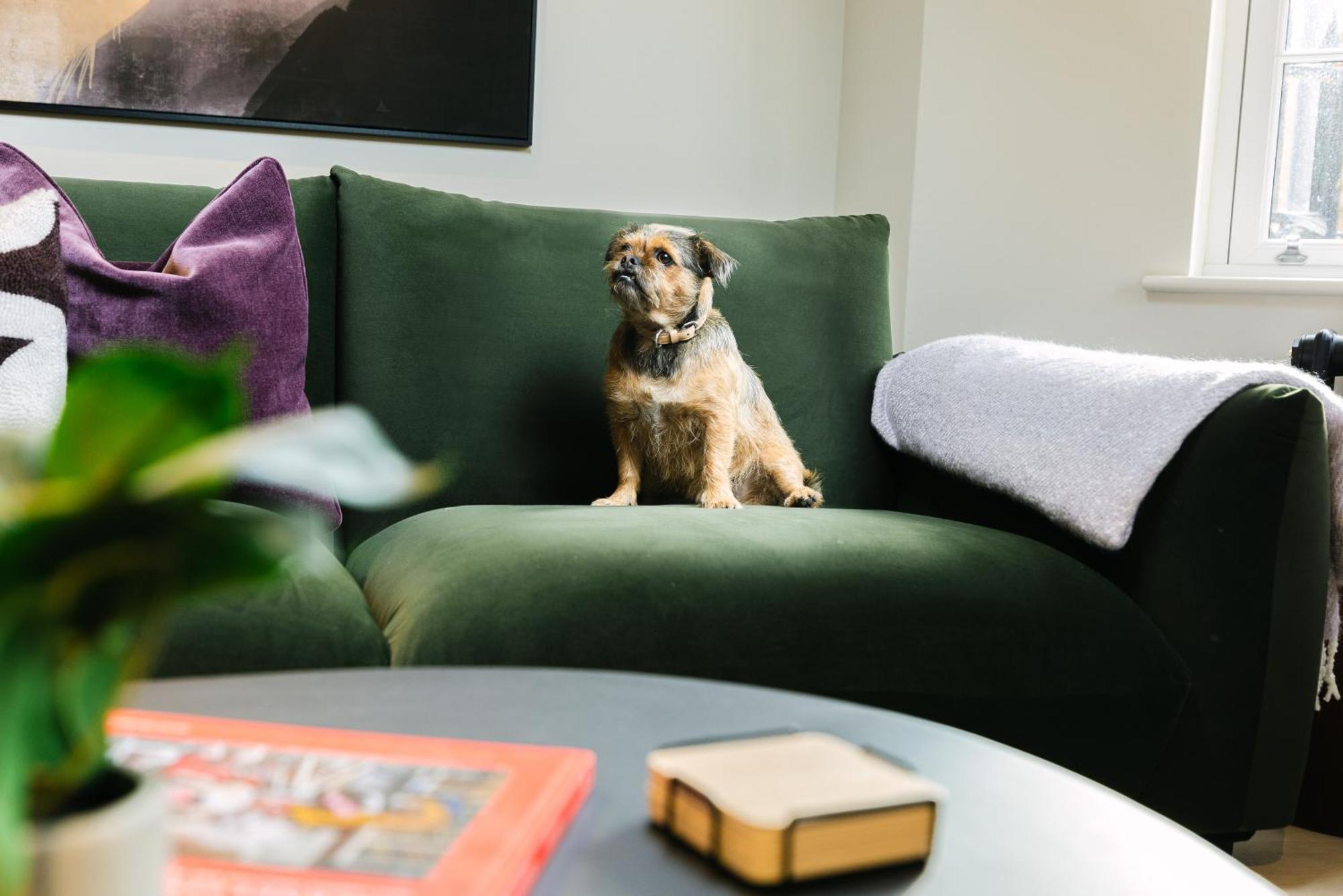 Appartamento Urban Rest Hackney Londra